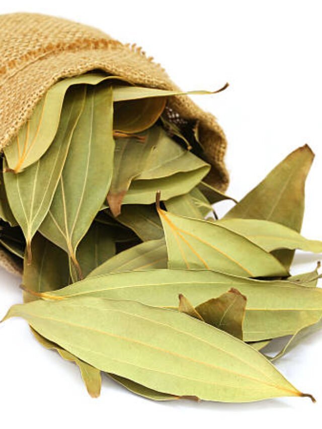 Bay Leaf Benefits: तिजोरी में तेज पत्ता रखने के ये हैं फायदे